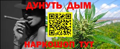 крисы Лесосибирск