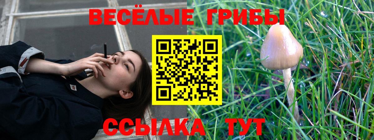 Галлюциногенные грибы Cubensis  Вход с VPN  купить  сайты  Грозный 